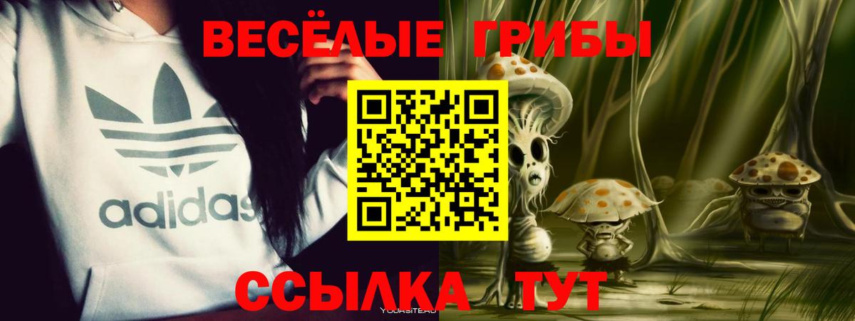 Галлюциногенные грибы Psilocybine cubensis  Галлюциногенные грибы Magic Shrooms  Вход с VPN  купить  сайты  Киселёвск 